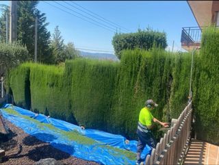 Presupuesto gratis. Instalación rápida