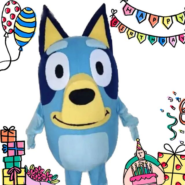 Alquiler disfraz cumpleaños bluey