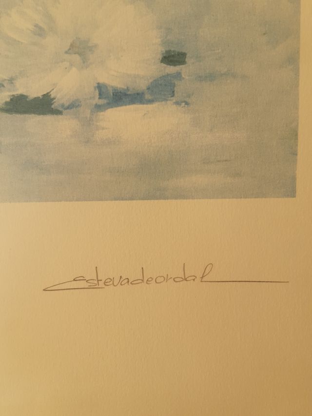 Litografía de Esteva de Ordal