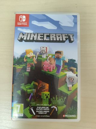 Minecraft Nintendo Switch