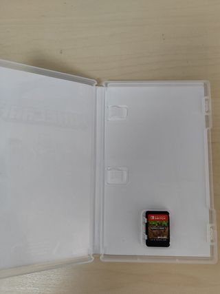 Minecraft Nintendo Switch