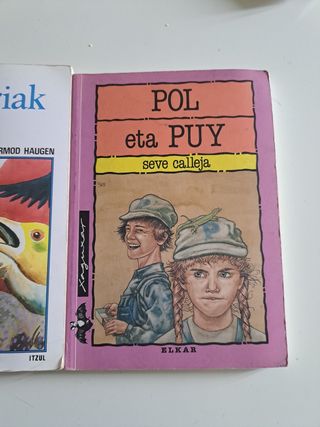 Lote libros euskera