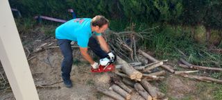 TRABAJOS DE PODA Y JARDINERÍA ECONÓMICOS