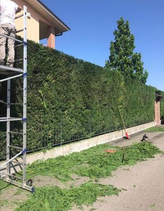 Jardínero económico