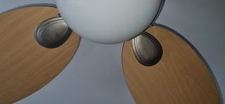 Ventilador techo