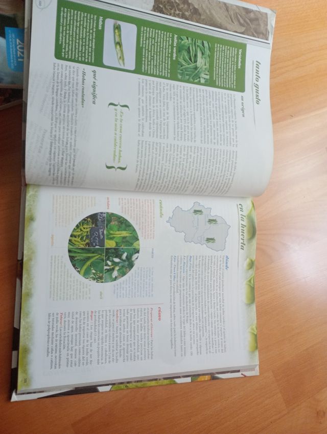 Cocina de la huerta aragonesa