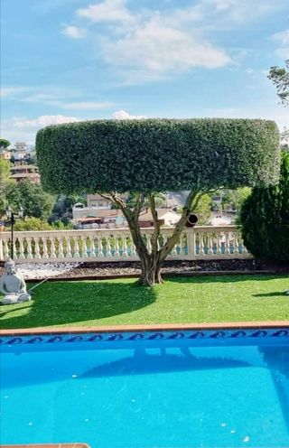 Limpieza de parcelas jardines