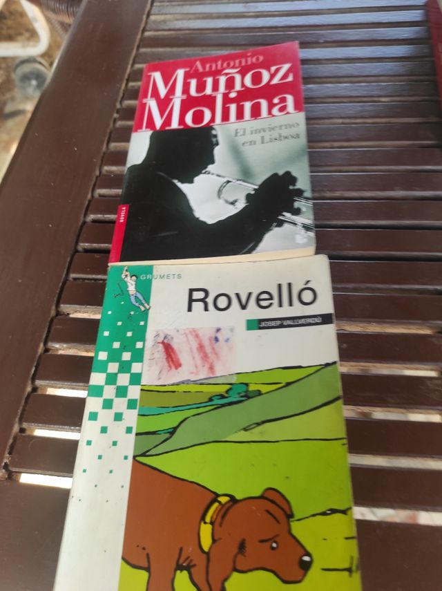 Libros de jóvenes para instituto