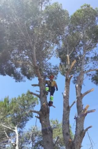 JARDINERO,PODADOR