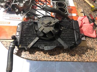 Depice completo fzr 600 89