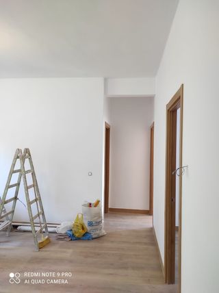 Colocó tarimas,parquet,puertas etc