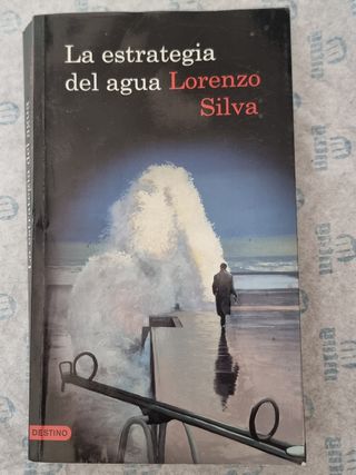 Lote de libros (novelas)