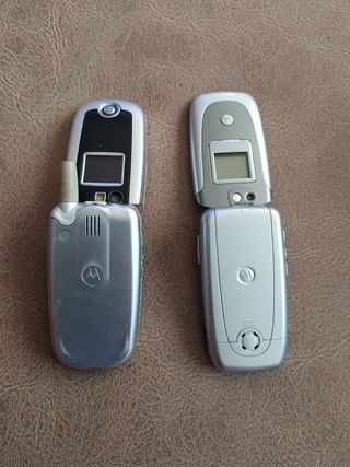 motorola
