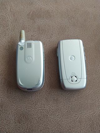 motorola