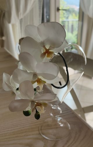 Vaso di vetro con orchidea bianca 