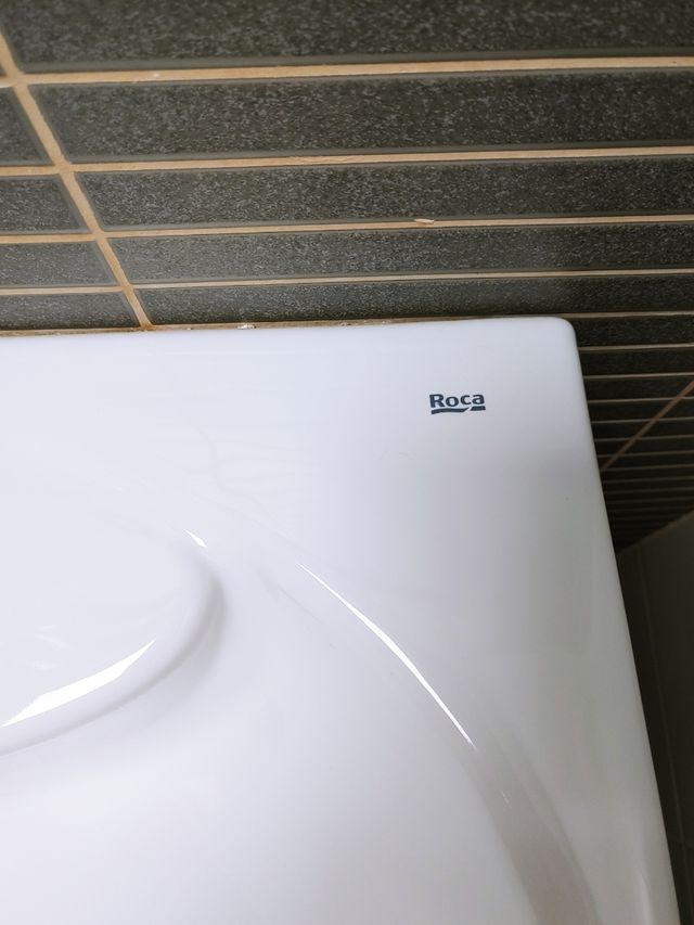 Lavabo con pedestal de baño