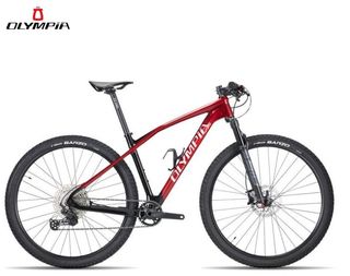 Bicicleta OLYMPIA Iron Pro 29" Carbono