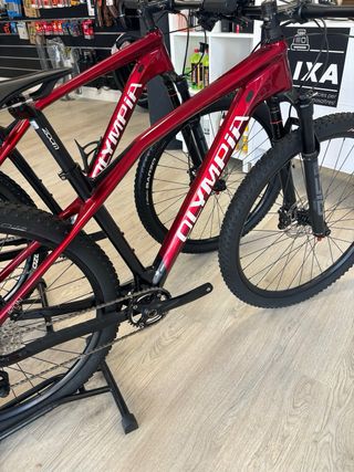 Bicicleta OLYMPIA Iron Pro 29" Carbono