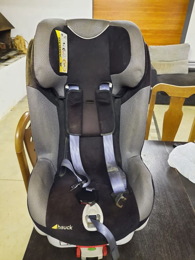 Silla evolutiva Hauck