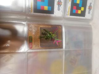 Album cromos cards