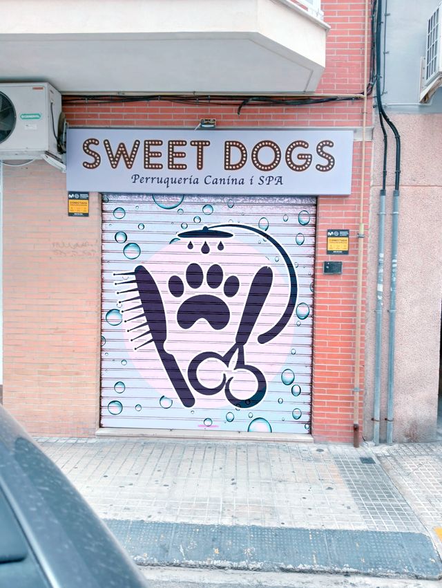 GRAFFITI SAFOR SERVICI DECORA