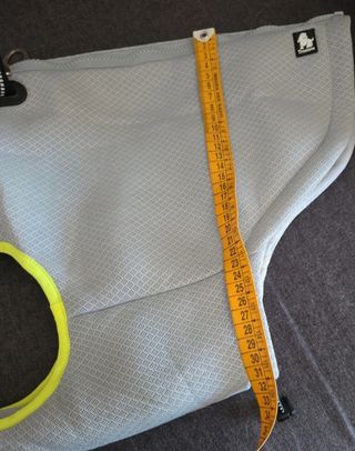 Giubbotto refrigerante per cane 