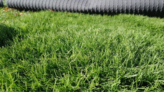 Cesped artificial reciclado