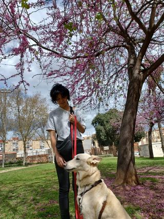 Guardería de mascotas, Zaragoza