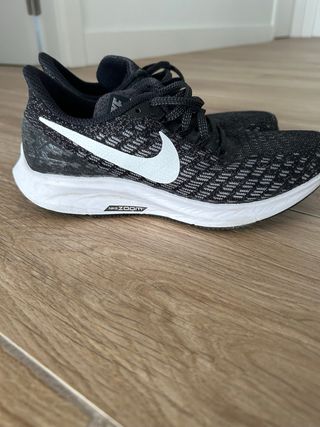 Zapatillas nike pegasus