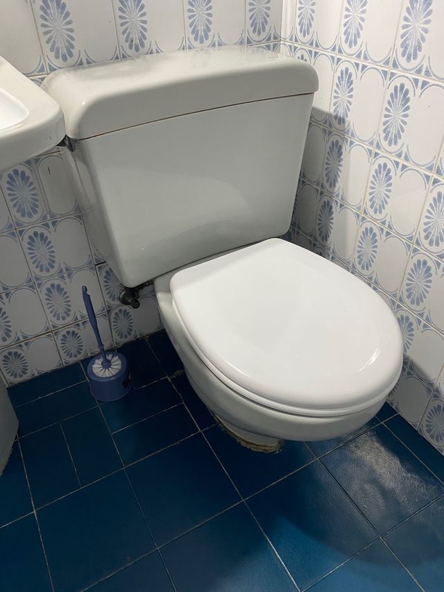 Conjunto Roca vintage Lavamanos, bidé y WC