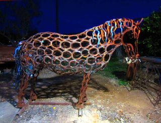 Poni Asturcón de herraduras