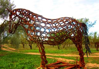 Poni Asturcón de herraduras