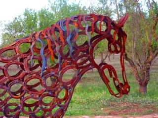 Poni Asturcón de herraduras