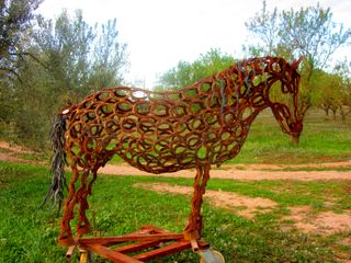 Poni Asturcón de herraduras