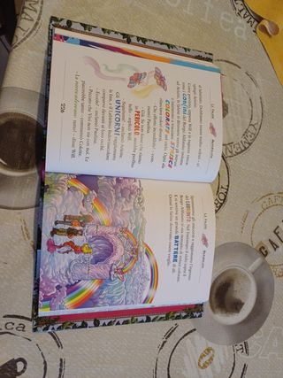 Libro il segreto delle Fate delle Nuvole