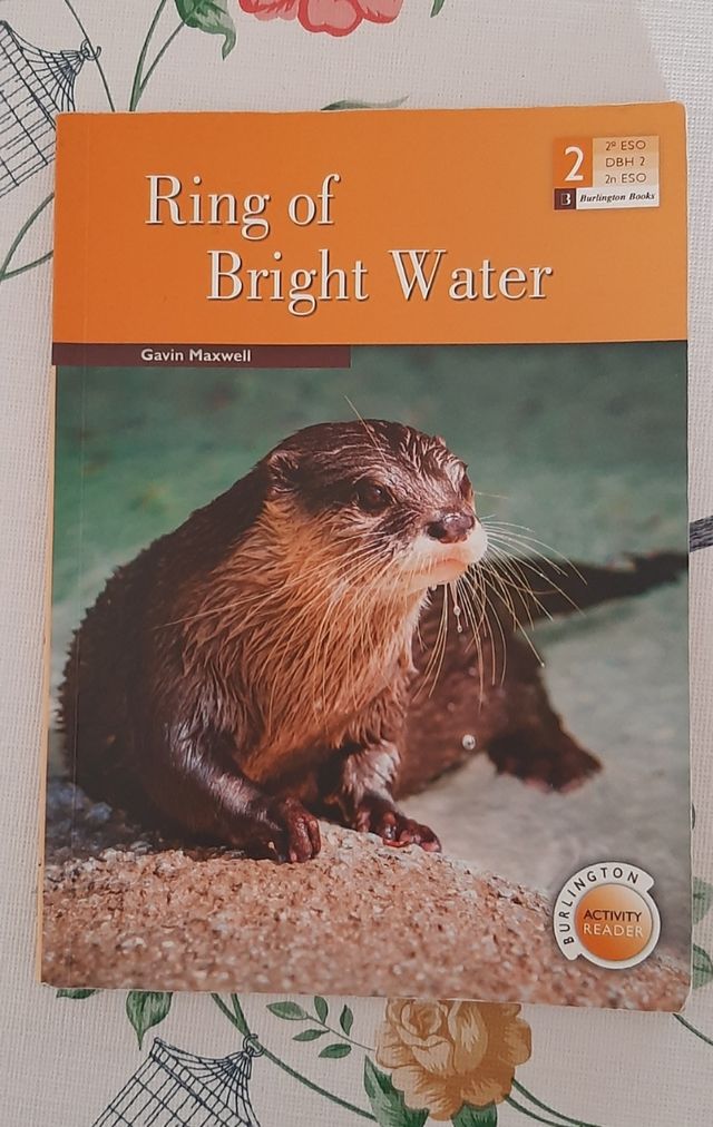 Ring of bright water