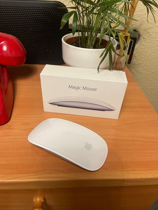 Raton Apple magic mouse 1* generacion