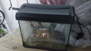 Acquario Tetra 20 litri