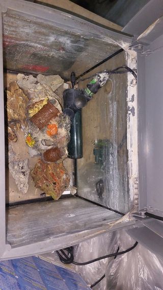 Acquario Tetra 20 litri