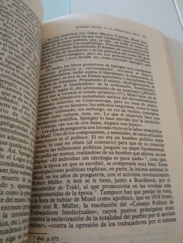 Robert Musil y la crisis del arte.