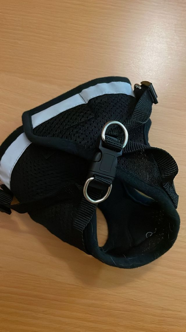 Arnés perro pequeño NUEVO. Tallas S y M.