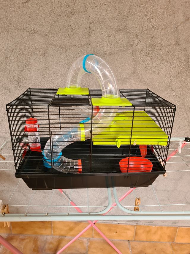 Jaula hamster