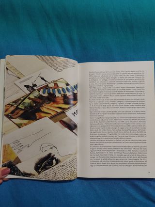 libro Transizioni