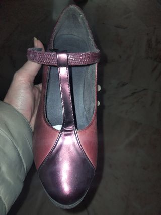 Zapatos pitillo 