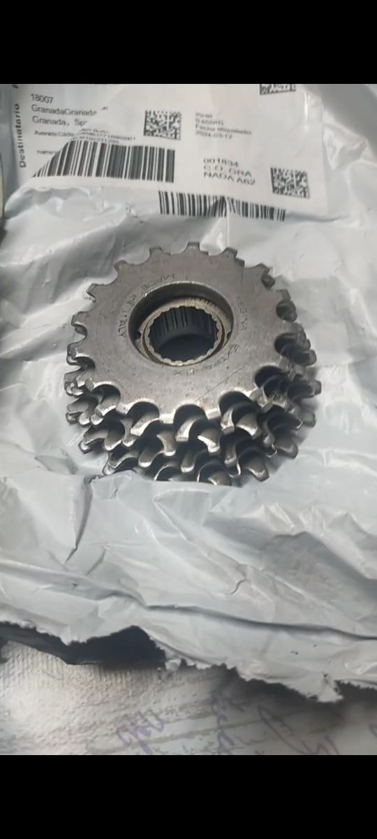 Piñonera Regina BX 6v antigua