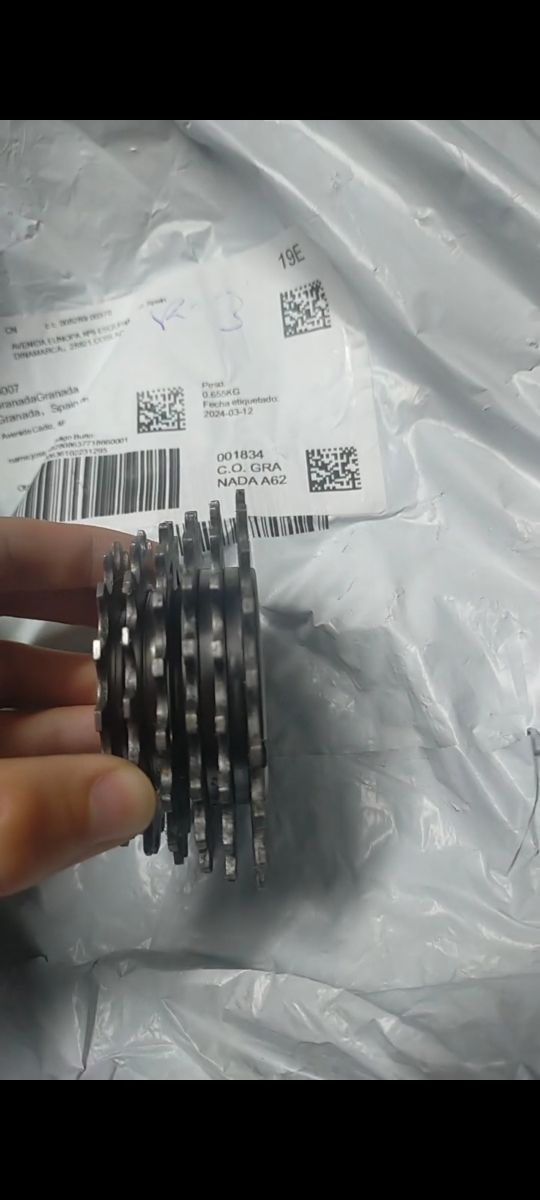 Piñonera Regina BX 6v antigua