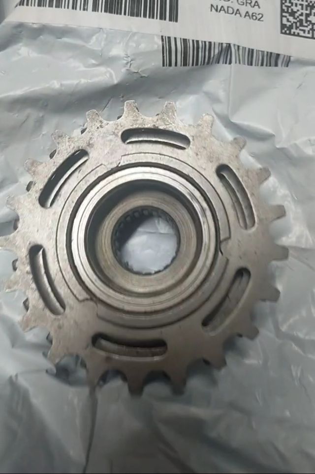 Piñonera Regina BX 6v antigua