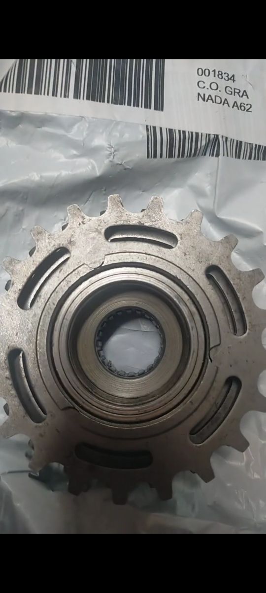 Piñonera Regina BX 6v antigua