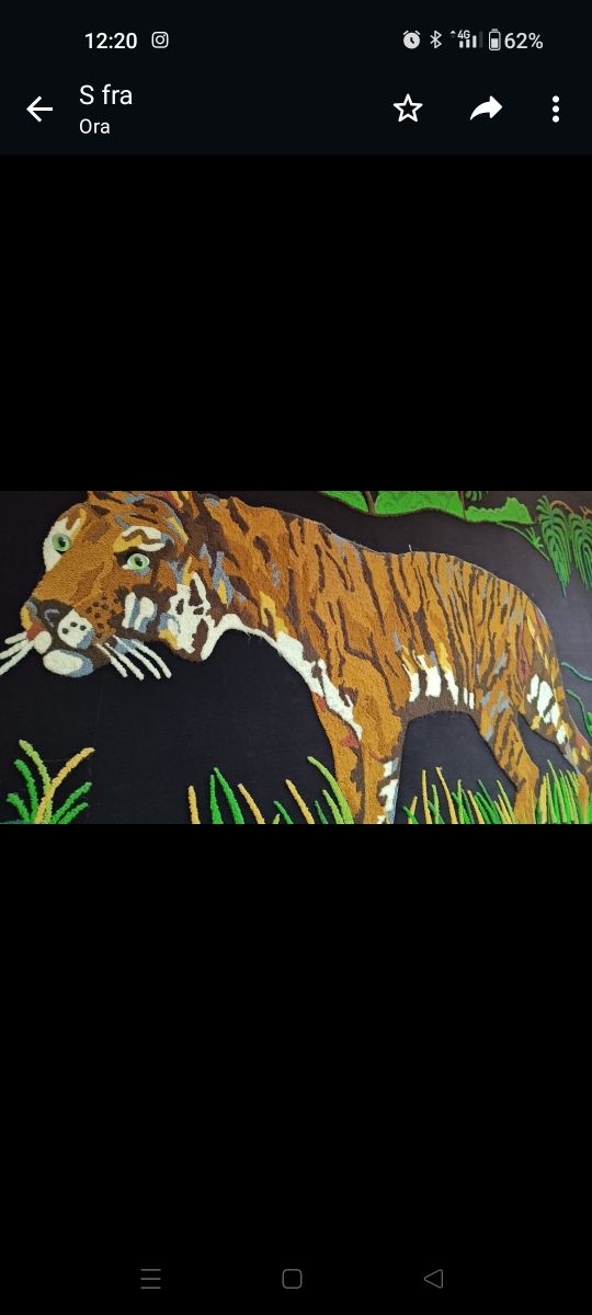 quadro soggetto tigre