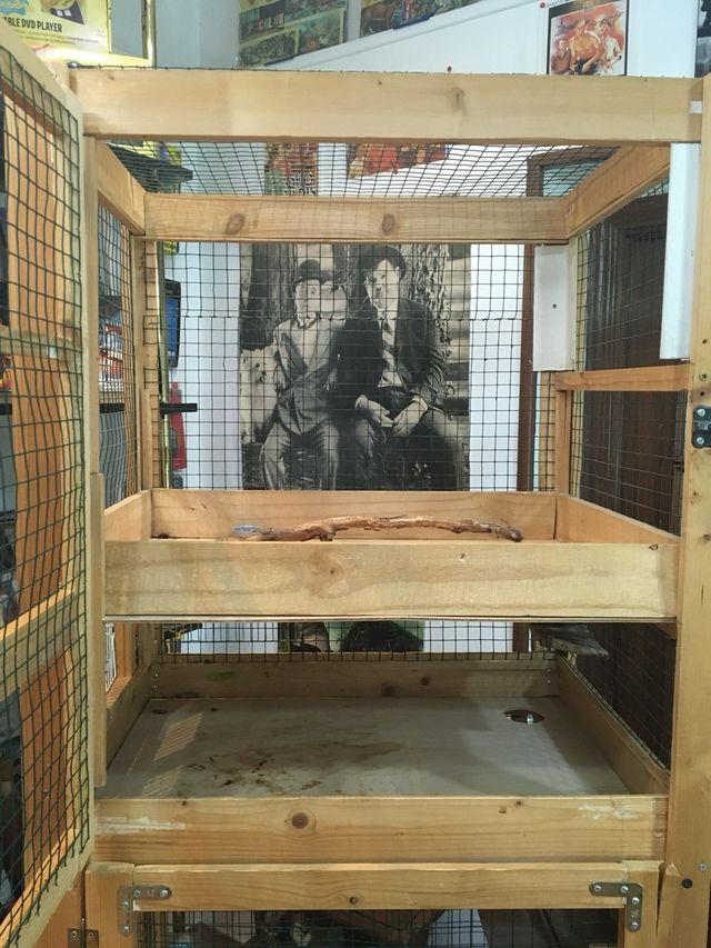 Jaula voladera madera